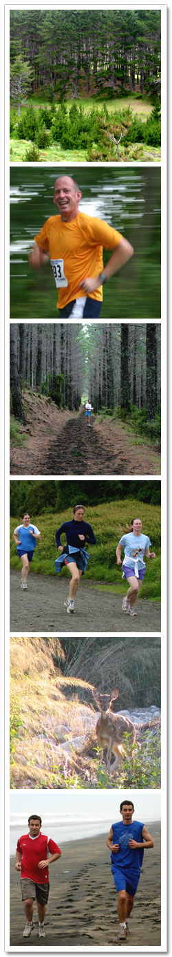 Running at Muriwai and Woodhill